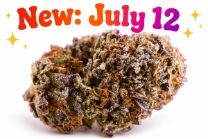 Purple Dank - Hybrid