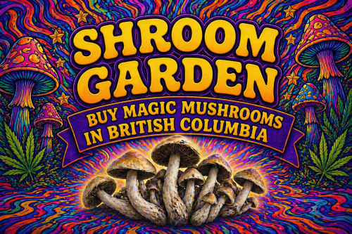 Buy Magic Mushrooms Online in British Columbia | Shroom Garden
