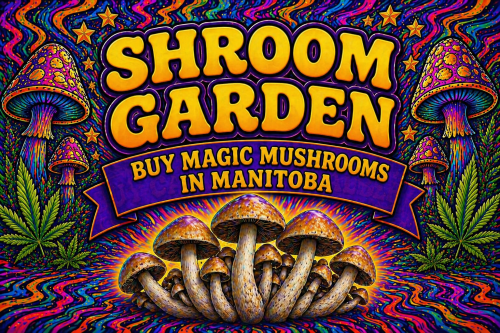 Buy Magic Mushrooms Online in Manitoba - Shroom Garden