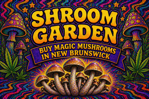 Buy Magic Mushrooms Online in New Brunswick - Shroom Garden