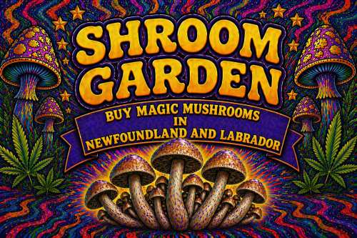 Buy Magic Mushrooms Online in Newfoundland and Labrador - Shroom Garden