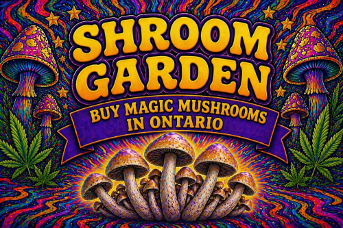 Buy Magic Mushrooms Online in Ontario - Shroom Garden