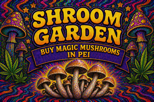 Buy Magic Mushrooms Online in PEI - Shroom Garden