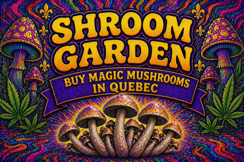 Buy Magic Mushrooms Online in Quebec - Shroom Garden