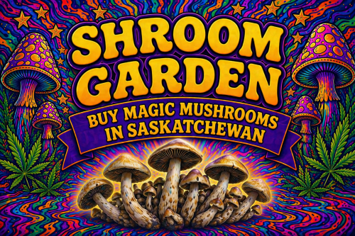 Buy Magic Mushrooms Online in Saskatchewan - Shroom Garden