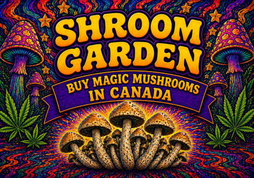 Buy Magic Mushrooms Online in Canada - Shroom Garden