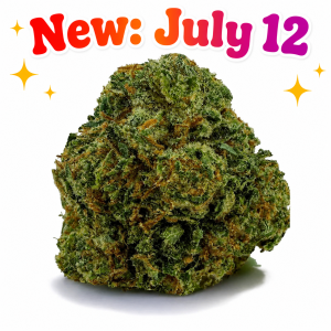 Black Tuna - Hybrid