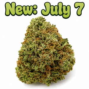 Black Tuna - Hybrid