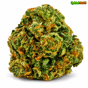 Black Tuna - Hybrid