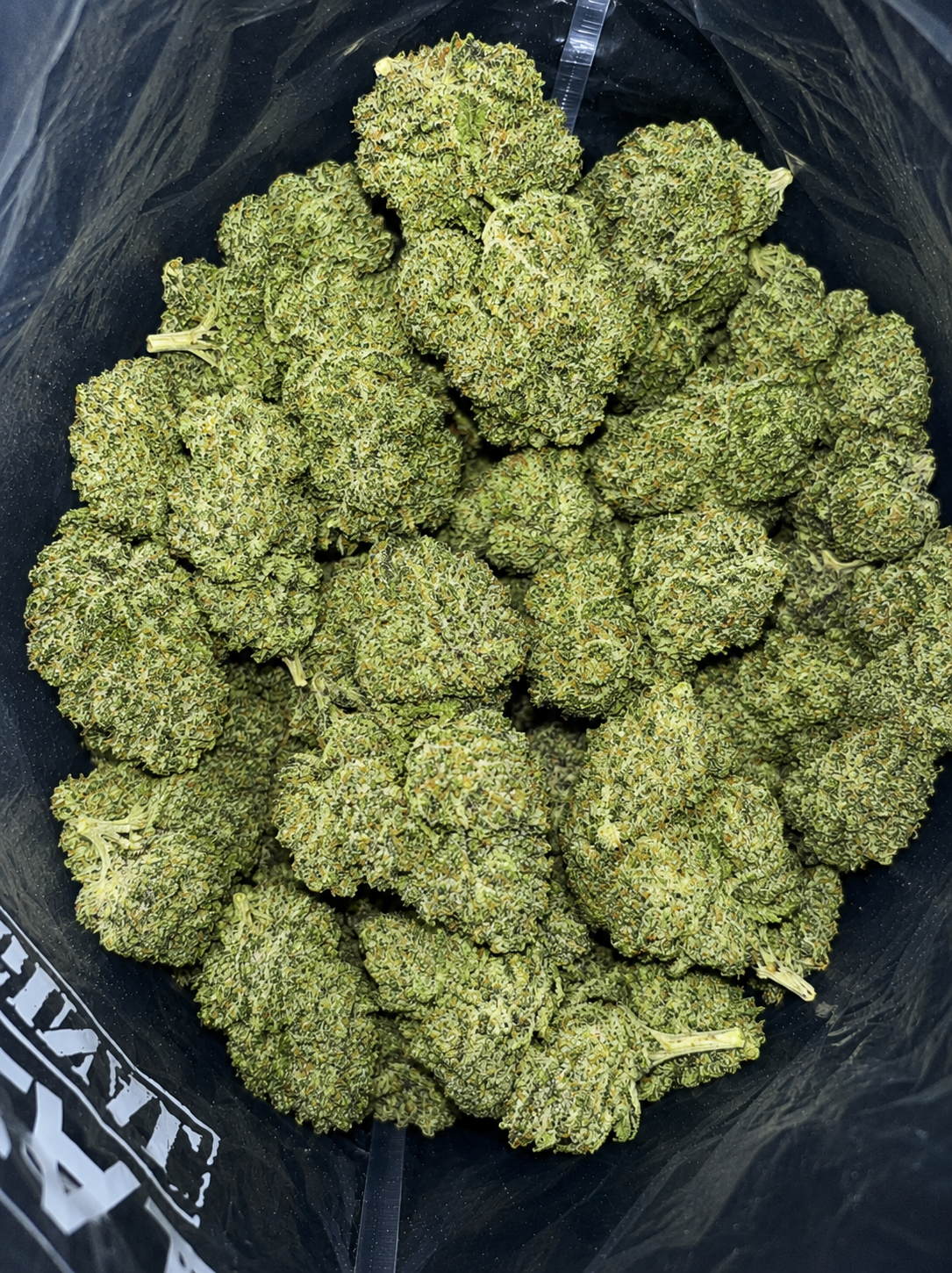 Cherry Mac cannabis strain featuring dense frosty buds with deep purple highlights, vibrant orange pistils, and thick crystal-covered trichomes. Premium AAAA hybrid flower with 24–27% THC photographed on a clean white background.