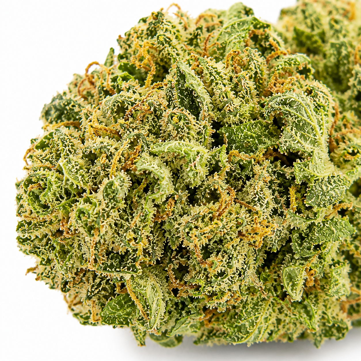 Close-up photograph of Death Bubba cannabis buds displaying frosty crystals, forest green colours, and sticky resin.