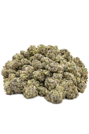 Grease Monkey popcorn buds featuring sticky crystal-covered flower with vibrant green tones and orange pistils.
