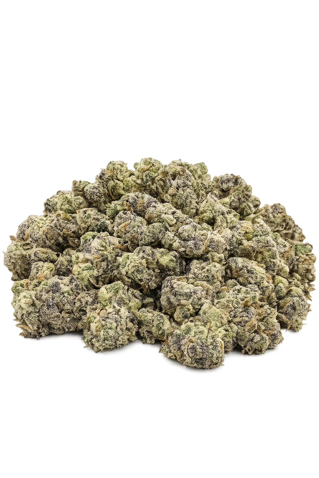 Grease Monkey popcorn buds featuring sticky crystal-covered flower with vibrant green tones and orange pistils.