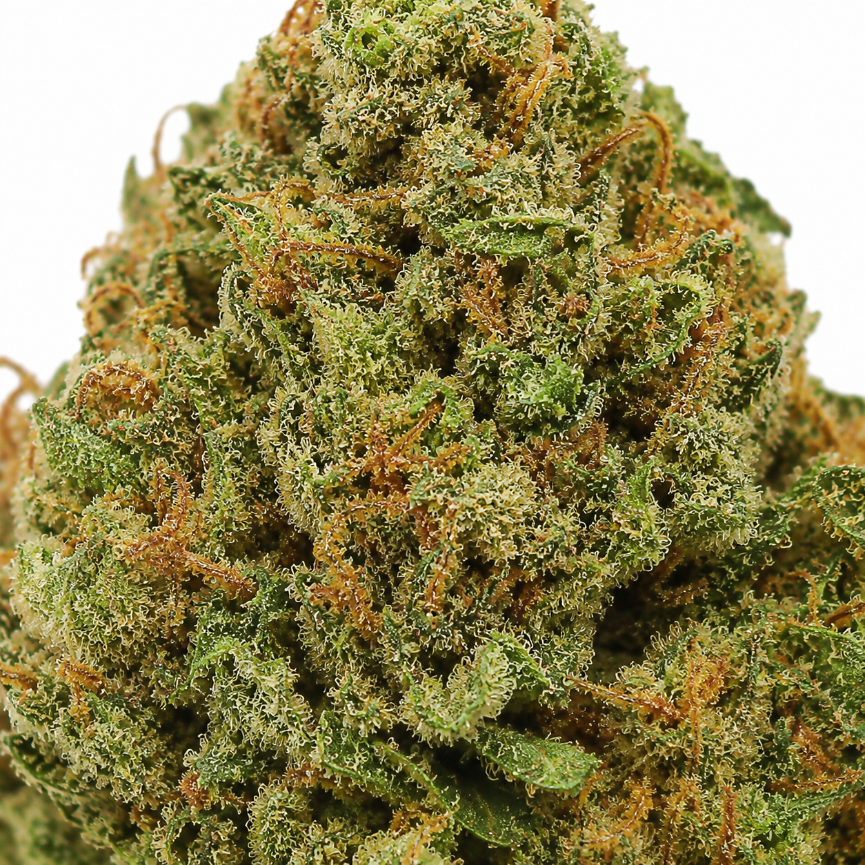 Ultra-macro close-up of a Black Tuna cannabis bud with dense crystal trichomes, deep purple leaves, bright orange pistils, and frosty resin coverage, showcasing premium affordable weed.