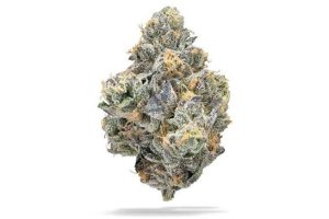 Ultra-macro close-up of a Lemon Sherbet cannabis bud featuring dense crystal trichomes, vibrant purple leaves, bright orange pistils, and frosty resin coverage on a white background.