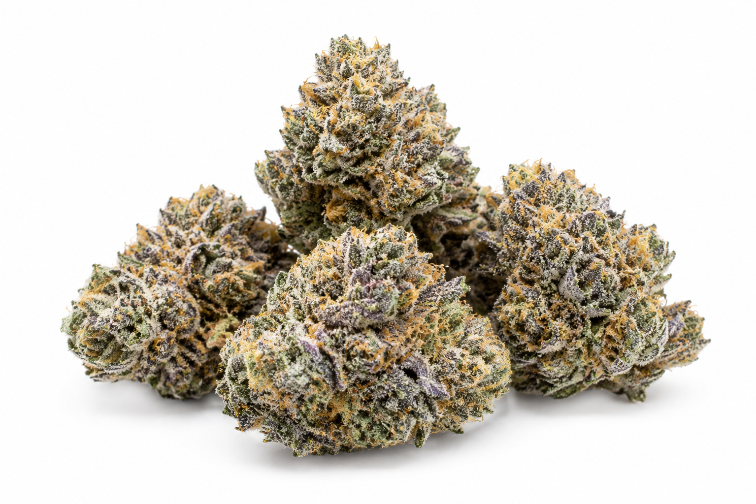 Ultra-macro close-up of a Lemon Sherbet cannabis bud featuring dense crystal trichomes, vibrant purple leaves, bright orange pistils, and frosty resin coverage on a white background.