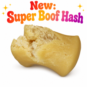 Golden Super Boof Hash cannabis concentrate with a smooth, resin-rich texture and crumbly interior displayed on a white background.
