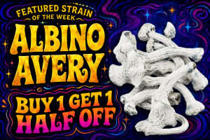 Strain of the Week BOGO