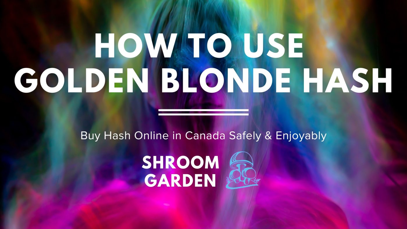 Figure 1: How to Use Golden Blonde Hash Safely and Enjoyably After You Buy Hash Online in Canada