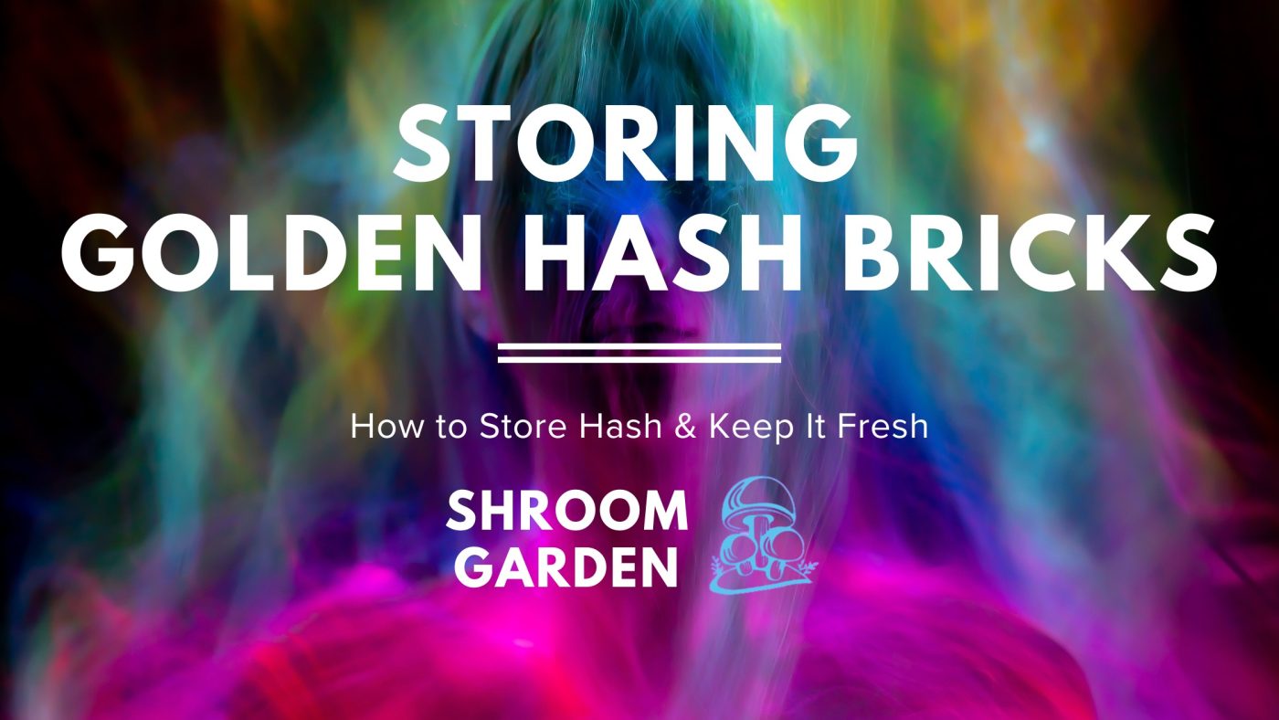 Storing Golden Hash Bricks Like a Pro: Keep Your Online Hash Orders Fresh and Potent Across Canada