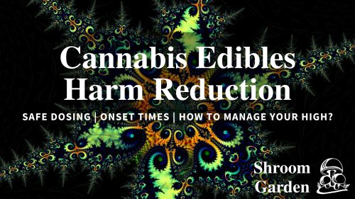 Learn cannabis edibles harm reduction with safe dosing tips, onset time guidance & storage advice. Start low & go slow with Shroom Garden’s expert guide.