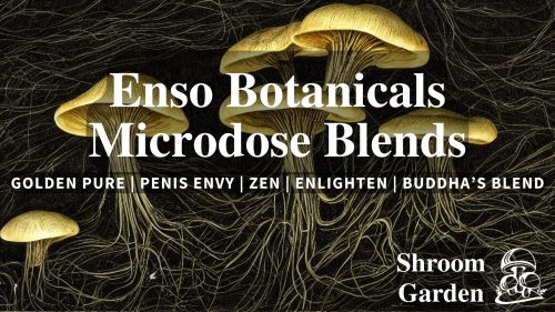 Discover Shroom Garden’s Enso Botanicals psilocybin microdose capsules. Compare Golden Pure, Penis Envy, Zen, Enlighten & Buddha’s Blend. Canada’s best-value microdose mushrooms online. Buy now.