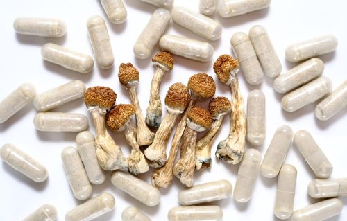 Enso Botanicals Golden Pure Blend microdose capsules on a wooden surface, representing a trusted magic mushroom store in Canada for psilocybin microdosing.