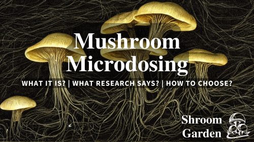 Looking for a magic mushroom store near you? Our microdosing guide covers Toronto, Vancouver, Montreal & more. Explore mushroom microdosing in Canada.