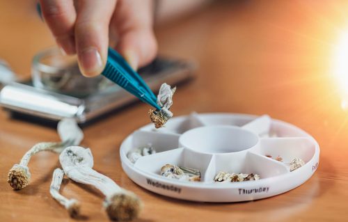 Shroom Garden’s Build Your Own Microdose Kit including capsules, scale, grinder, and capsule machine , a complete set for making psilocybin microdoses at home, available at a mushroom store near me in Canada.