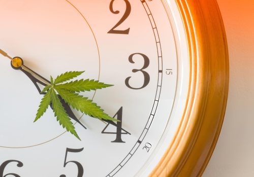 Cannabis Edibles Harm Reduction Frequently Asked Questions (FAQs)