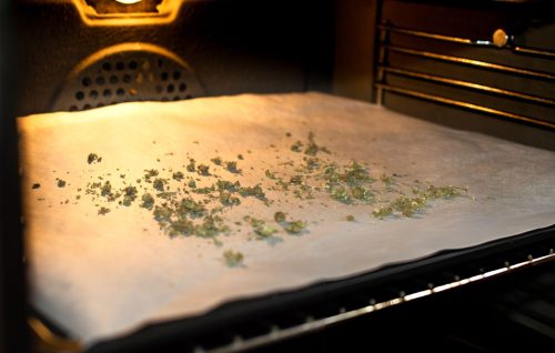 Cannabis trim spread on a baking sheet for decarboxylation before making cannabutter