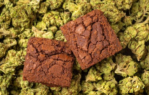 Freshly baked chocolate cannabis brownies made using bulk cannabis trim and cheap ounces.