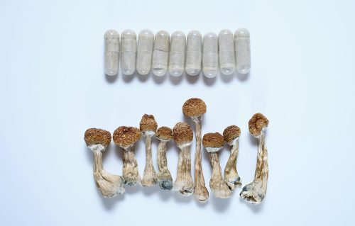 A person’s hand holding a single Enso Botanicals microdose mushroom capsule, illustrating a precise mushroom microdose amount.