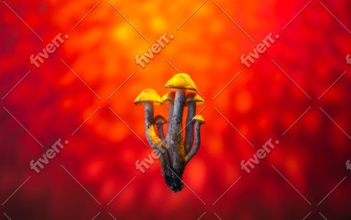 Psilocybin depression research shown alongside Canadian magic mushroom shopping and trust information.
