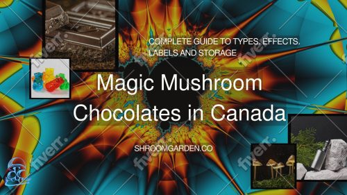 Truphoria and Adventures magic mushroom chocolates available in Canada