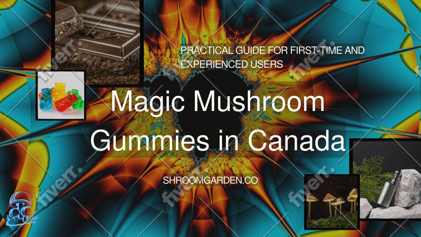 From dosage basics to the best gummies for first time users, here’s a clear, no‑hype look at magic mushroom gummies in Canada.