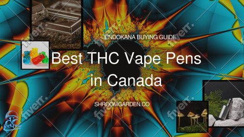 Looking for the best THC vape pens in Canada? Our 2026 EndoKana buying guide covers top strains, potency, how to use a vape pen, and where to buy legal cartridges online.