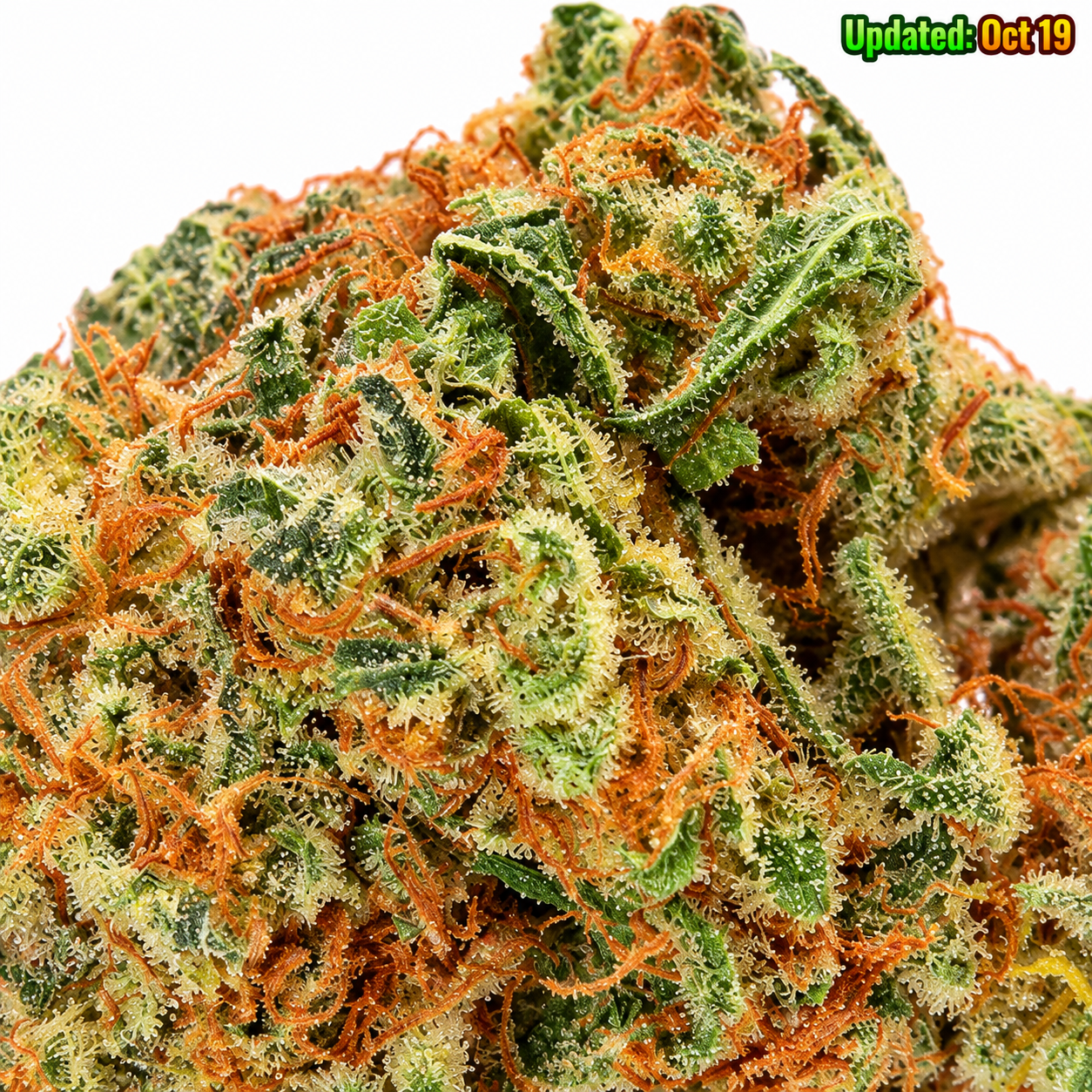 Citrus Haze sativa cannabis bud featuring bright green leaves, orange pistils, and frosty trichomes.